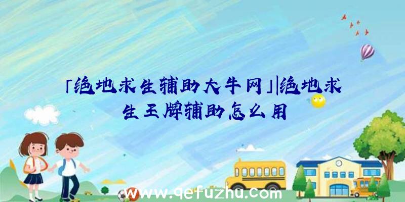 「绝地求生辅助大牛网」|绝地求生王牌辅助怎么用